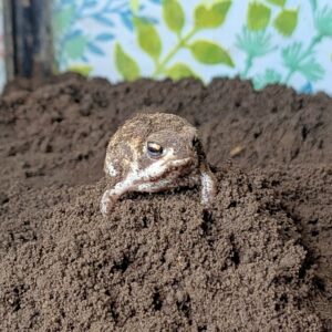 PXL_20260307_105236688