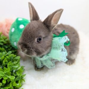 PXL_20260308_014706870