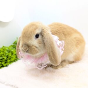 PXL_20260308_022013640