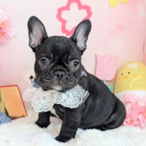 PXL_20260313_064600737.PORTRAIT.ORIGINAL~2