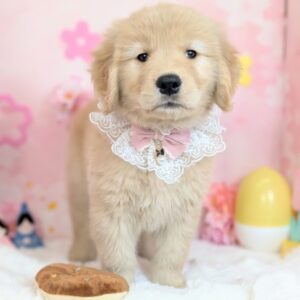 PXL_20260319_060327310.PORTRAIT~2