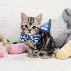 PXL_20260320_053754435~2