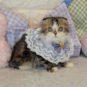 PXL_20260323_112353893