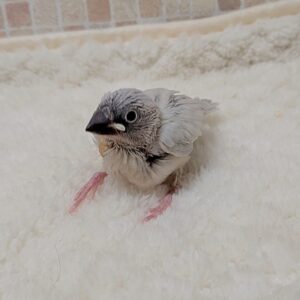 PXL_20260329_104457246