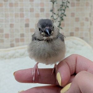 PXL_20260329_104828383