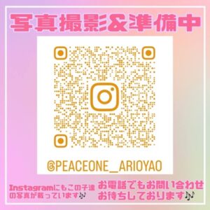 オカメインコ(ルチノー) 写真準備中