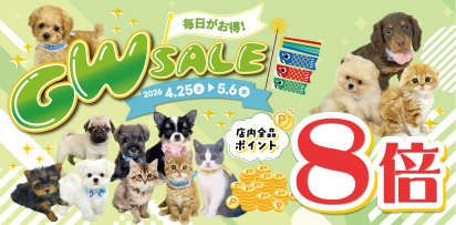 ペットショップピースワン🎏ゴールデンウィークセール開催！☀️