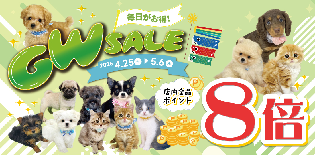 ペットショップピースワン🎏ゴールデンウィークセール開催！☀️