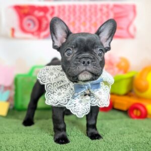 PXL_20260403_052322980.PORTRAIT