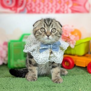 PXL_20260403_060652448.PORTRAIT~3