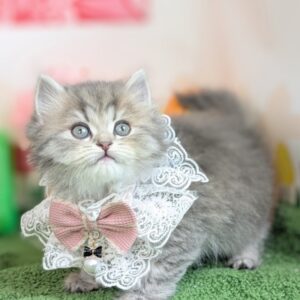 PXL_20260403_062520113.PORTRAIT~2