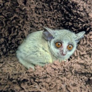 PXL_20260408_103330167~2