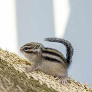 PXL_20260411_050648855~3