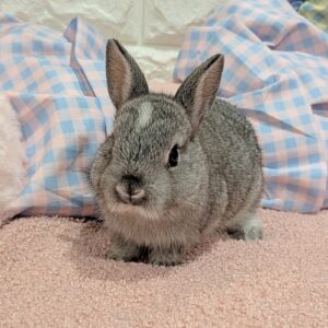 PXL_20260417_043103479