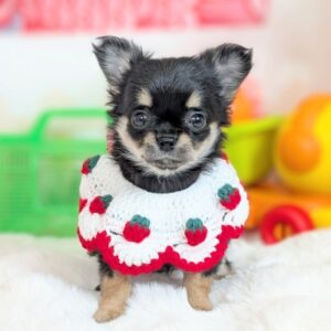 PXL_20260417_065128964.PORTRAIT~2