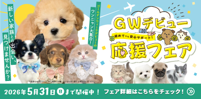 ペットショップピースワン🐶ゴールデンウィークデビュー応援フェア🐱
