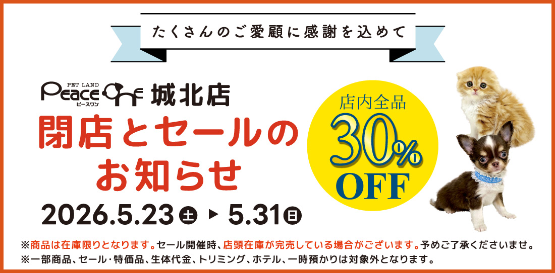 ピースワン城北店閉店とセールのお知らせ