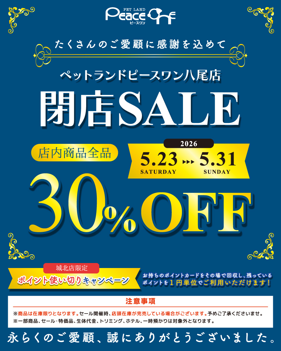 閉店セール・店内全品50%OFF