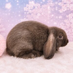 image0