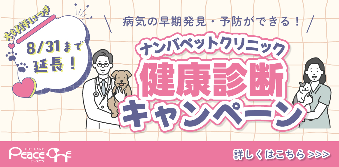 ナンバペットクリニック健康診断キャンペーン