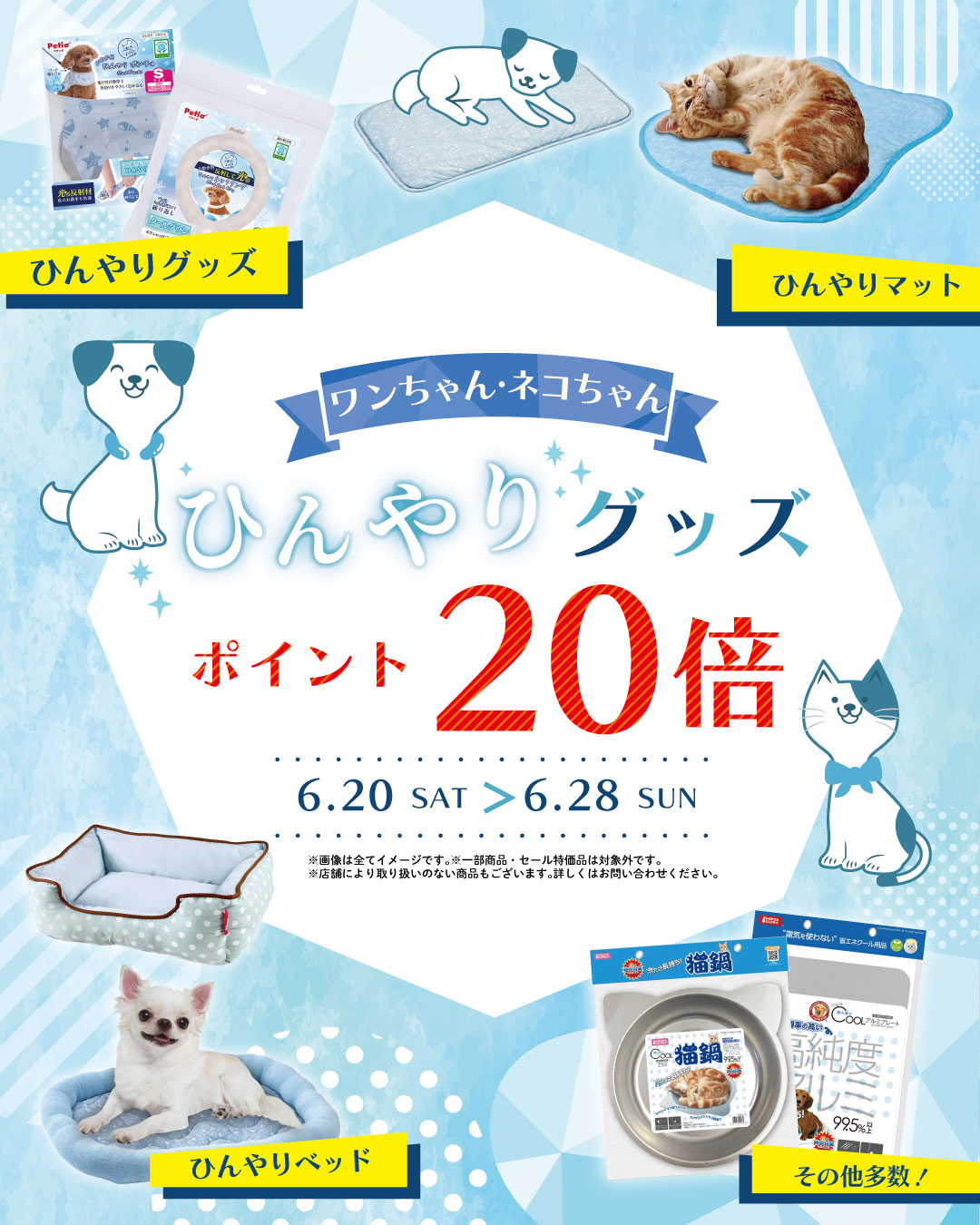 ペットショップピースワン☀️⛱️夏サキドリフェア開催🌻🍉 - 大阪 本日のみセールペット用品セット 新品未開封多数