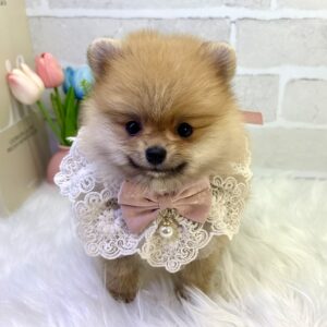 PO1