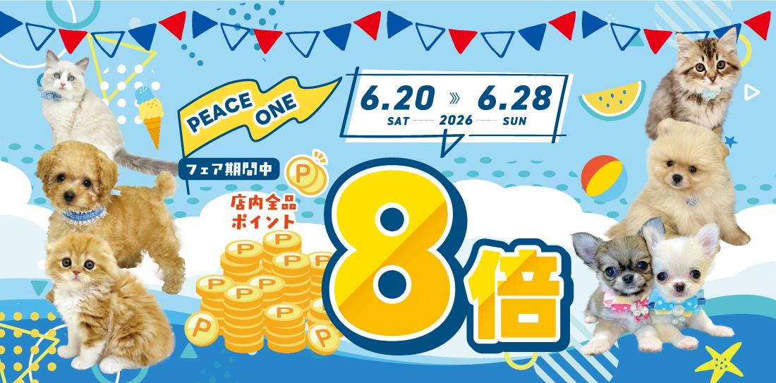 ポイントアップ8倍