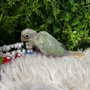 image0