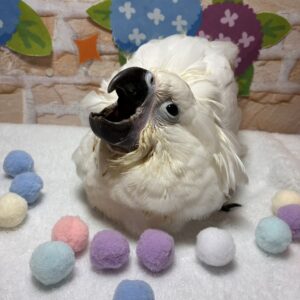 image0
