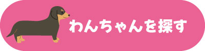 わんちゃんを探す