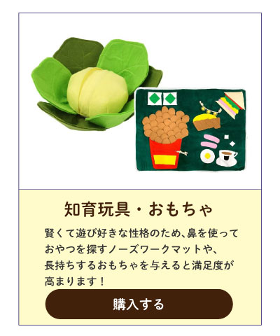 ペットおもちゃ