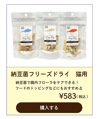 納豆菌フリーズドライ猫用