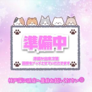 準備中猫