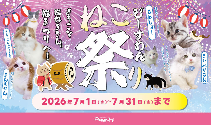 🎇🐱ペットショップピースワン🐱ねこ祭り🏮🎆 - 大阪・兵庫でペットの