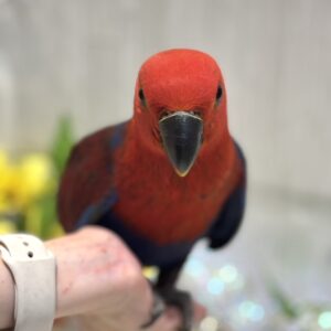 IMG_0522