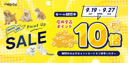 ポイントアップ10倍