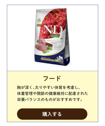 ファルミナドッグフード