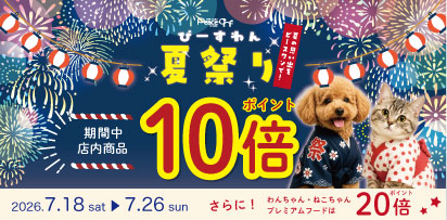 ポイントアップ10倍