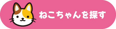 猫ちゃんを探す