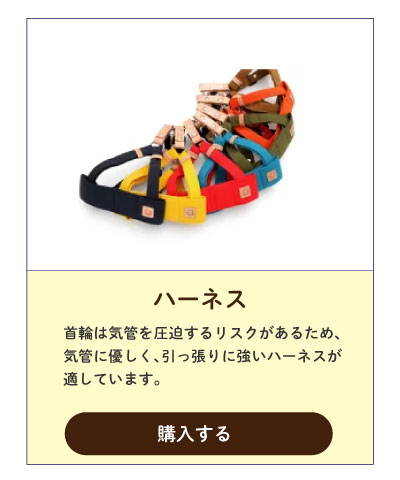 ハーネス