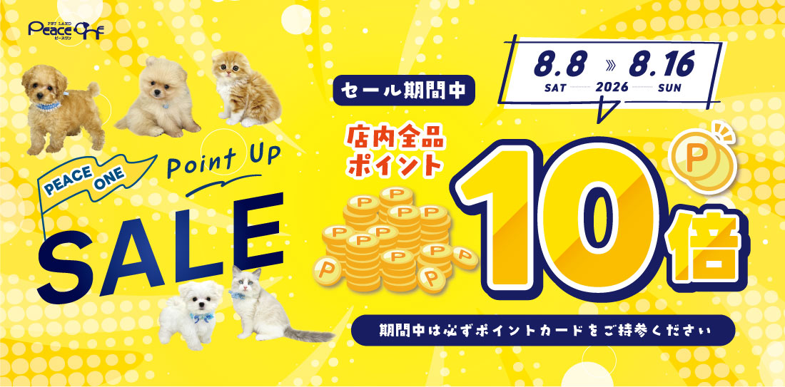 ポイントアップ10倍