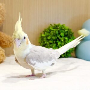 batch_IMG_7469