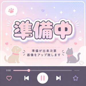 チワワ ホームページPOP