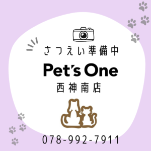 撮影準備中3