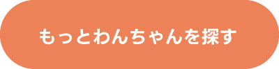 もっとわんちゃんを探す