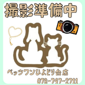 準備中