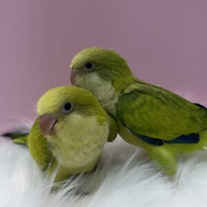 IMG_5777