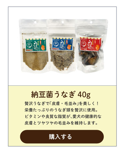 納豆菌うなぎ