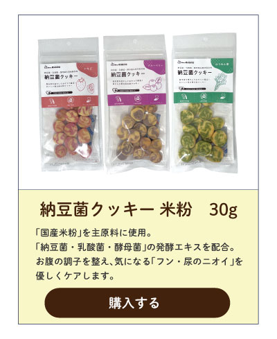 納豆菌クッキー米粉