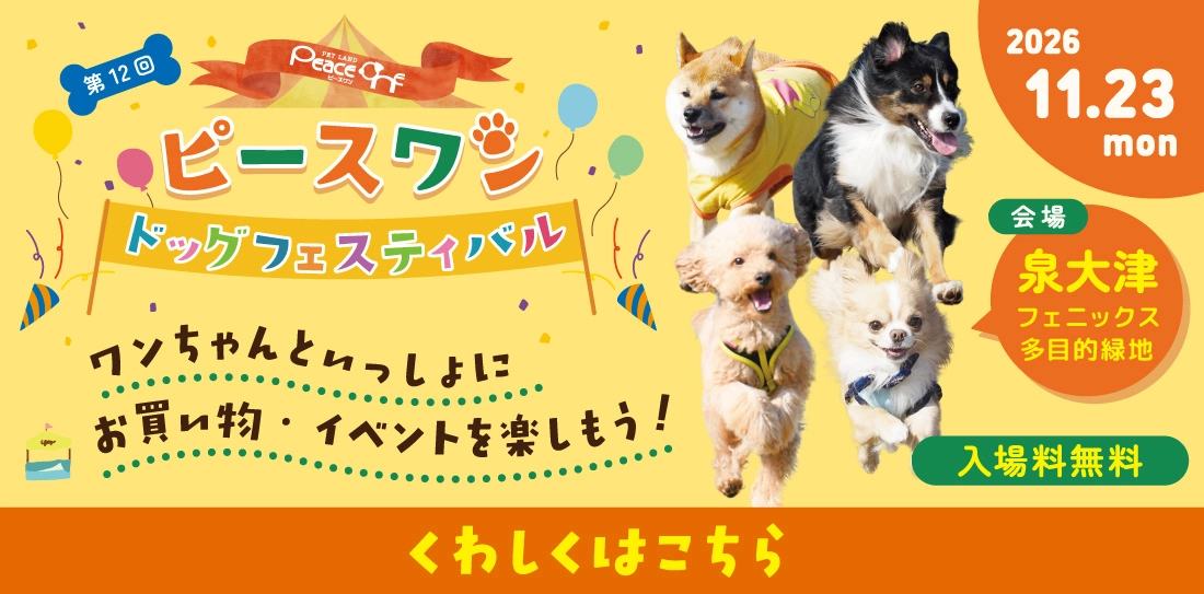 ピースワンフェスティバル開催！